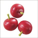 Haba Tomate