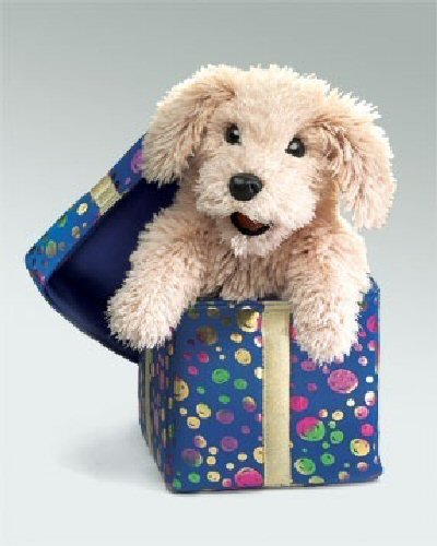 Folkmanis Gift Box Puppy