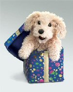 Folkmanis Gift Box Puppy