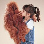 folkmanis_orangutan_thb.jpg