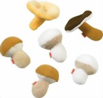 Haba Biofino Pilze Haba Biofino Pilze