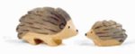 igel_thb.jpg