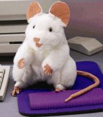 Folkmanis wei�e Maus